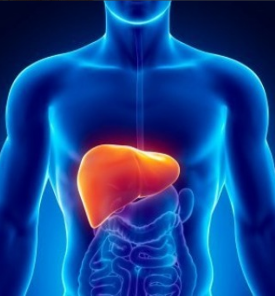 THE LIVER SERIES: PART 1