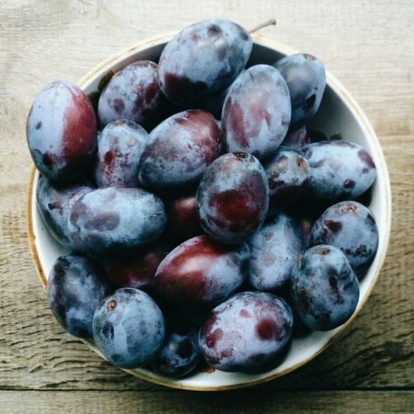 PLUMS