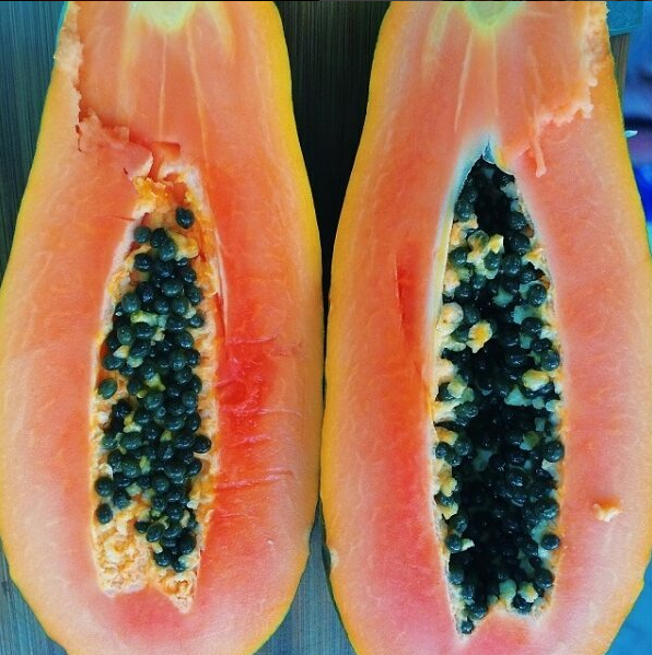 PAPAYA