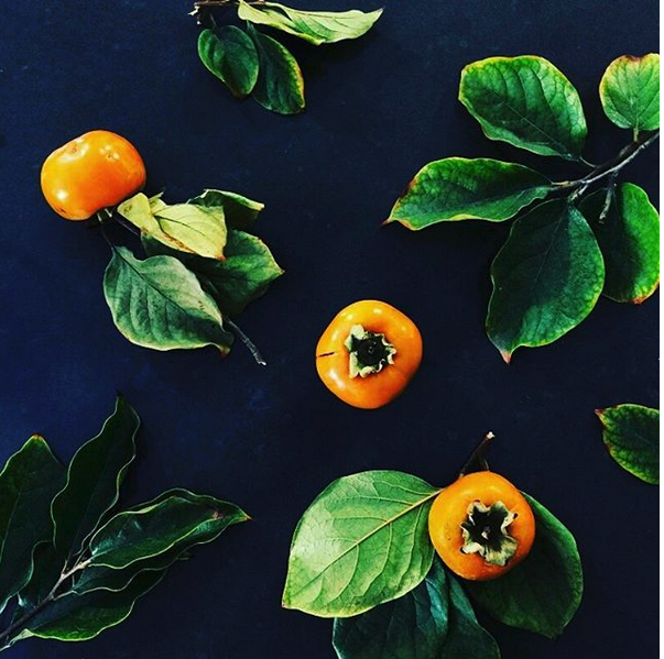 PERSIMMON