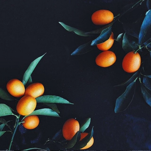 KUMQUAT