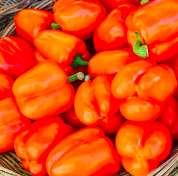 Orange Peppers