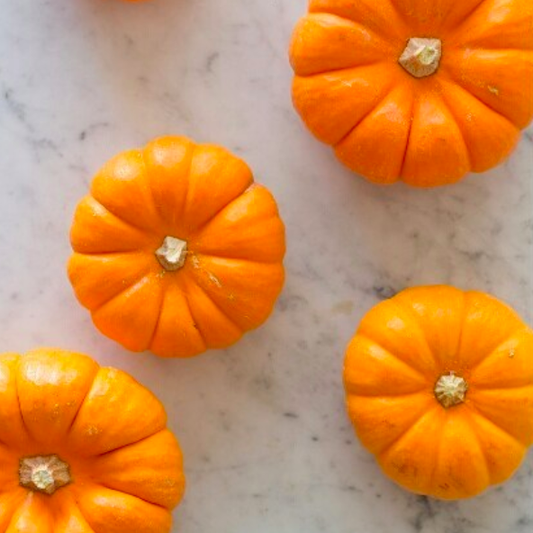 Pumpkin