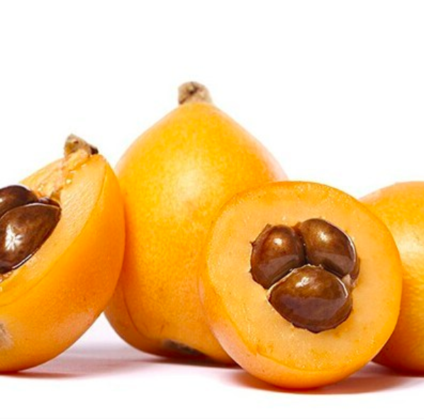Loquat