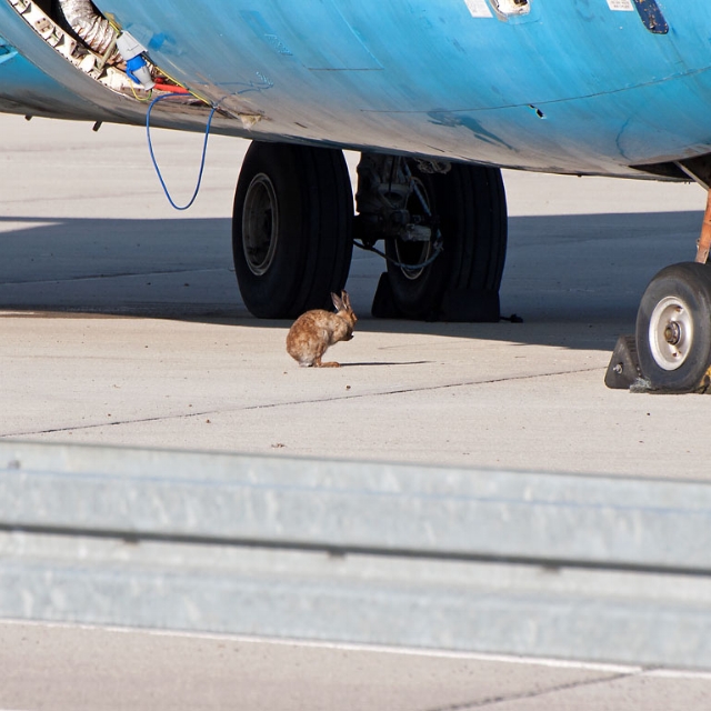 Hop On the Airport Risk Review Merry-Go-Round