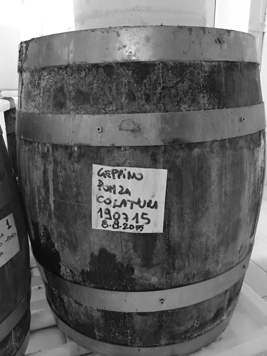 Colatura di Alici