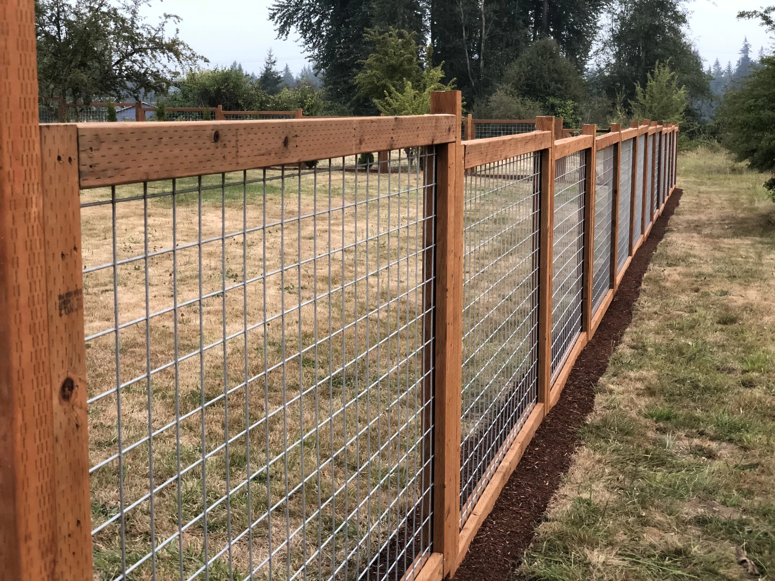 IMG_1067.JPG