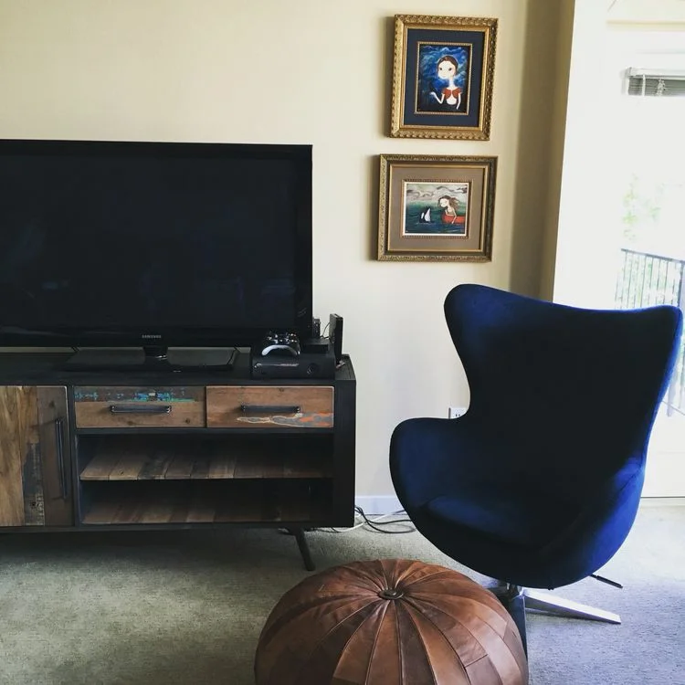 Ultimate Bachelor Pad 