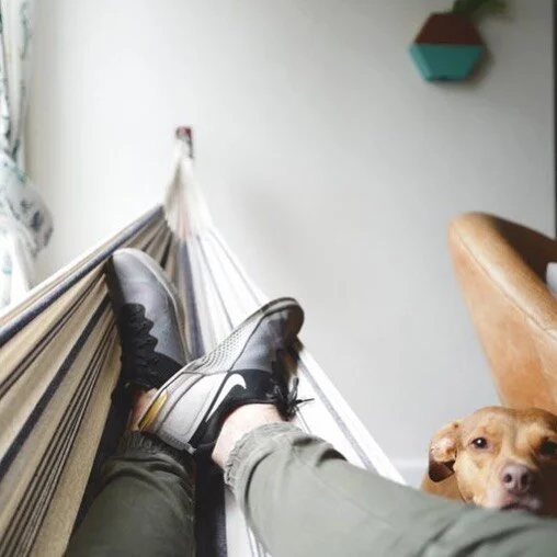 When your client really wants a hammock in the living room you make it happen with style 🖤
.
#bachelorpad #bachelorpads #bachelorpaddesign #bachelorpadoregon #designformen #mancavedecor #designermancave #interiorsformen #decorationformen #homeimprov
