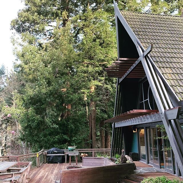 I&rsquo;ve been hanging out at this AFrame in the redwoods the last few days doing project research for my newest mid century, Japanese, gothic inspired condo. Well and relaxing in the hot tub 🙌🏻😊
.

#bachelorpad #bachelorpads #bachelorpaddesign #