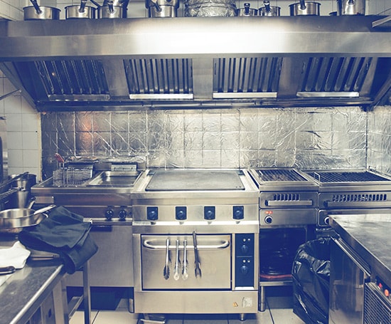 Commercial Pest Removal