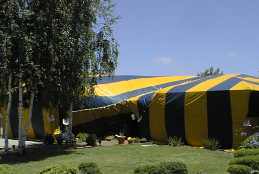 Termites, Fumigation for termites, termite control new orleans