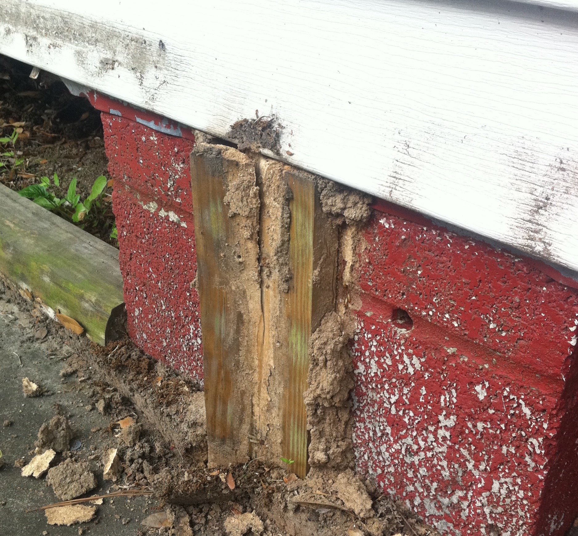 Termite Inspection, Termites, Termite Inspection New Orleans