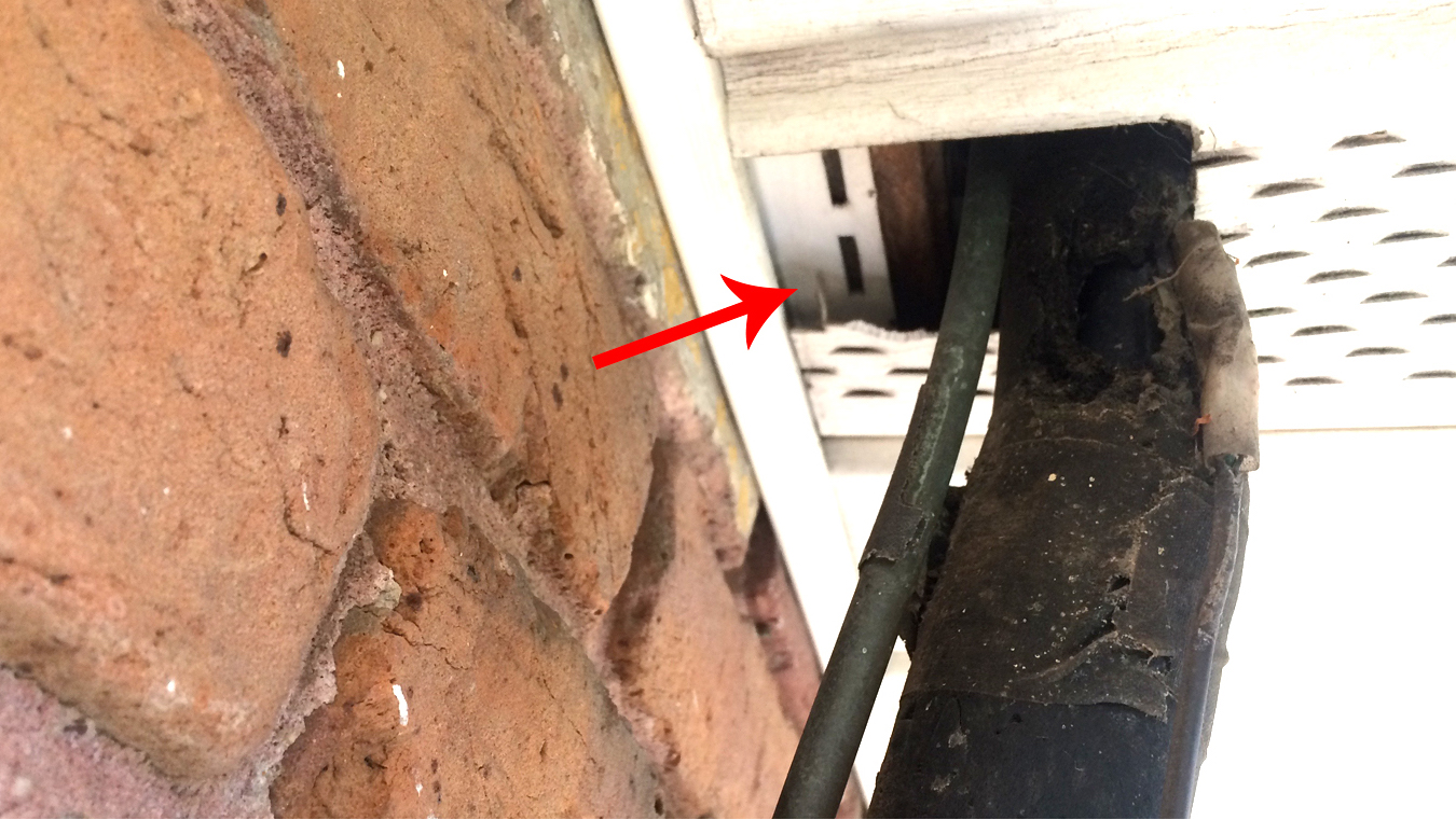 Access hole for pests at house eave where HVAC line enters