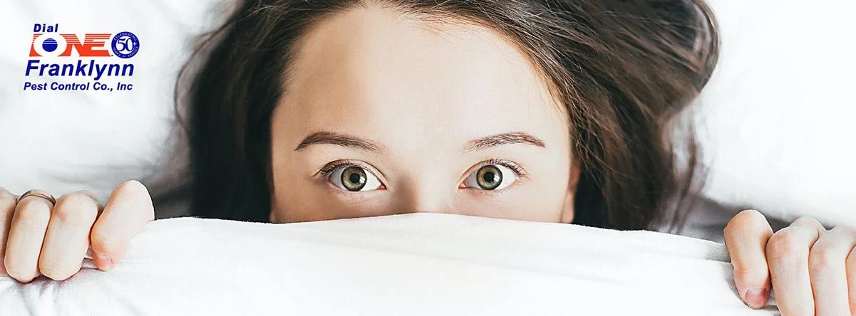 Don’t Cozy Up with Bedbugs this Winter