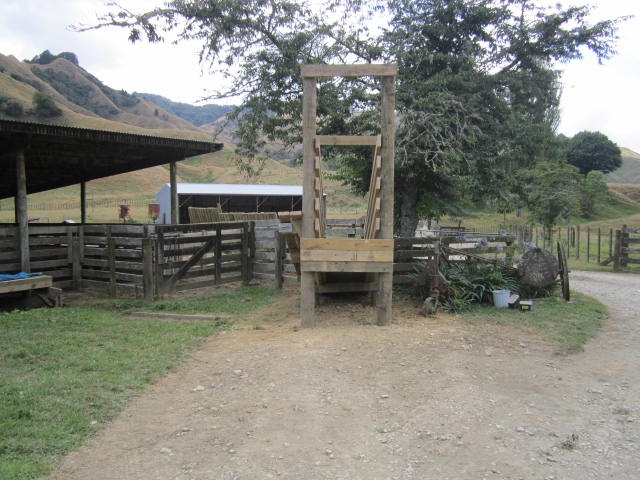 IMG_0820.JPG