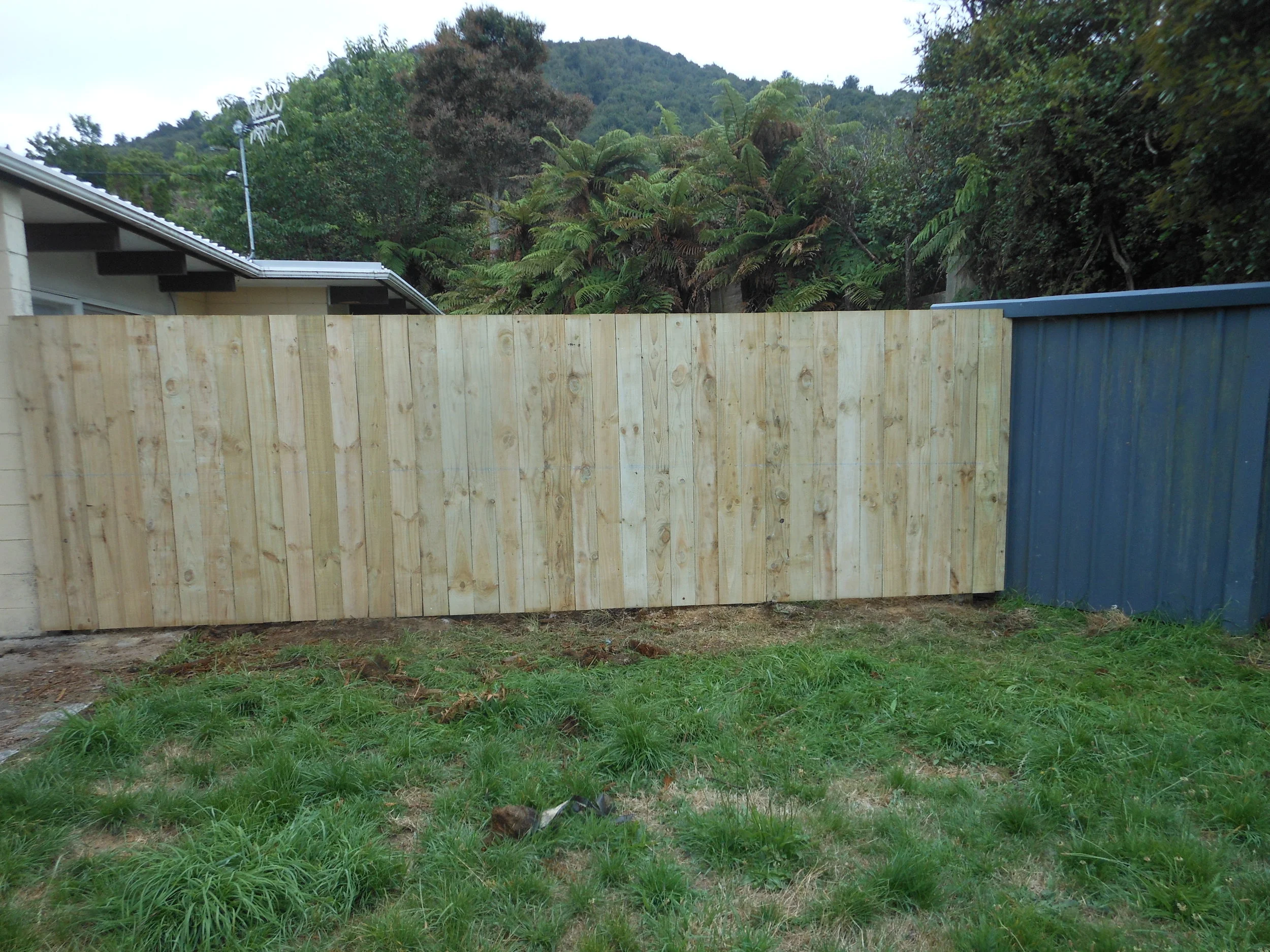 Small residential paling fence, Rotorua