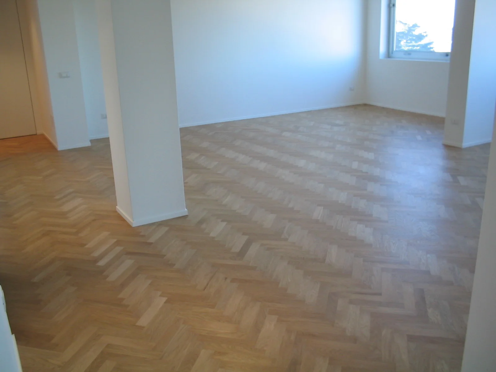masimo 14.jpg