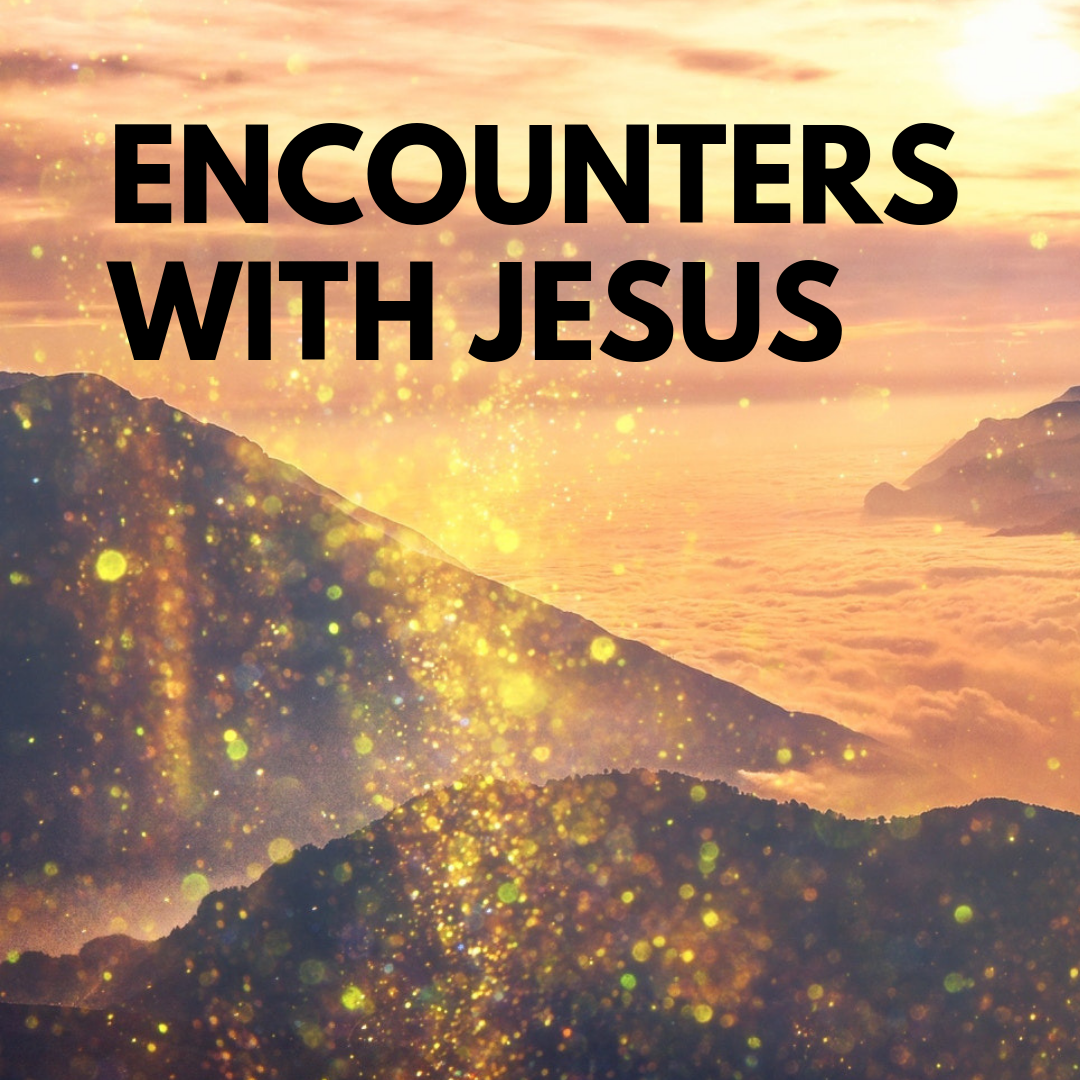 Encounters with Jesus.png