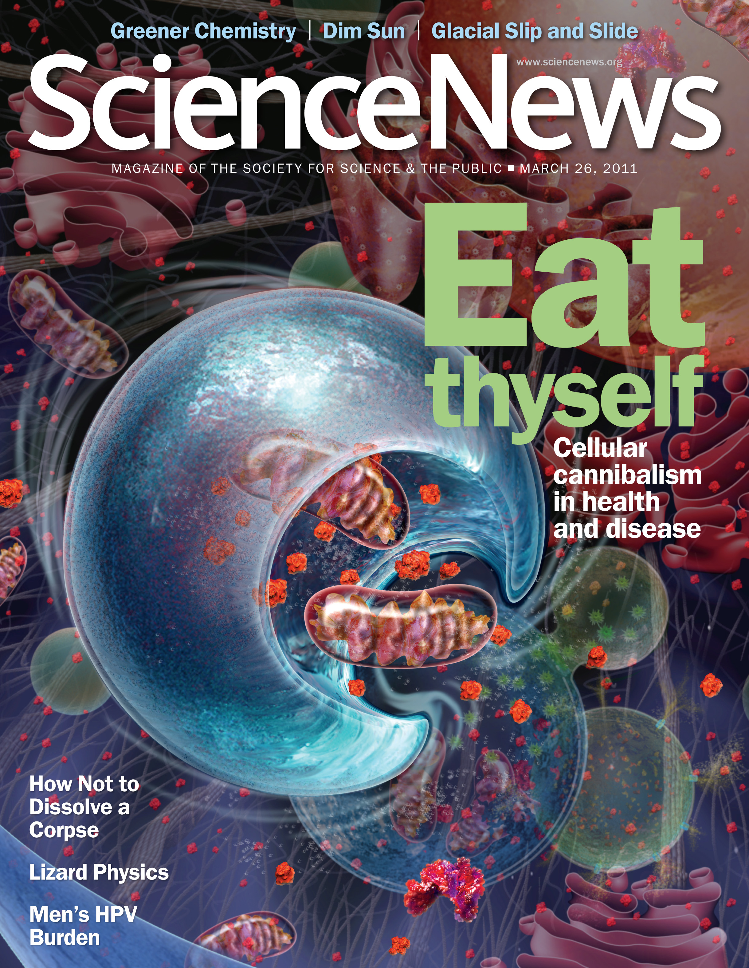 autophagy_cover.jpg