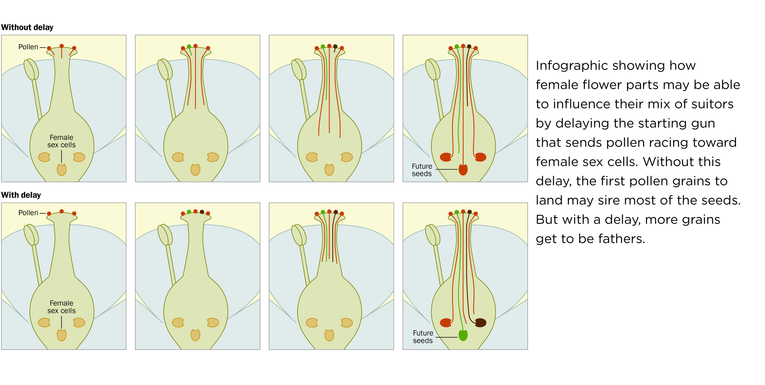 tearsheet_remaining_no boards2.jpg
