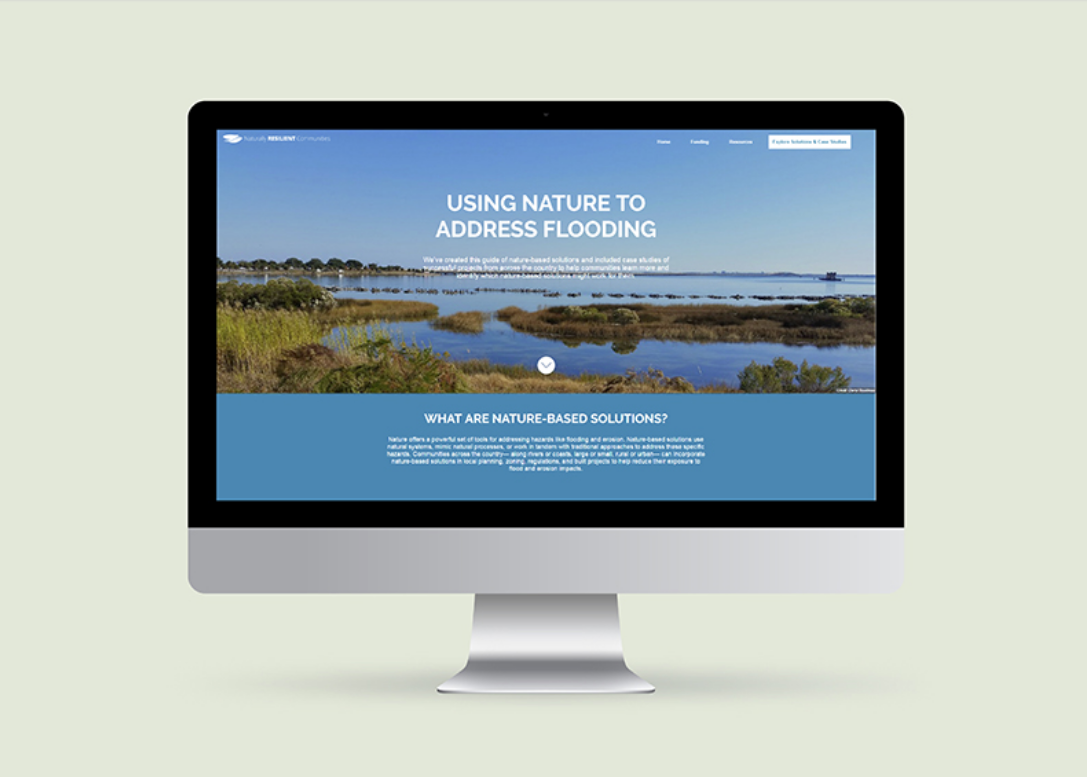 Screen Shot 2017-06-04 at 12.51.53 PM.png