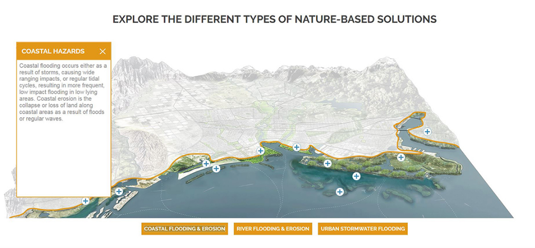 Screen Shot 2017-06-04 at 12.55.09 PM.png