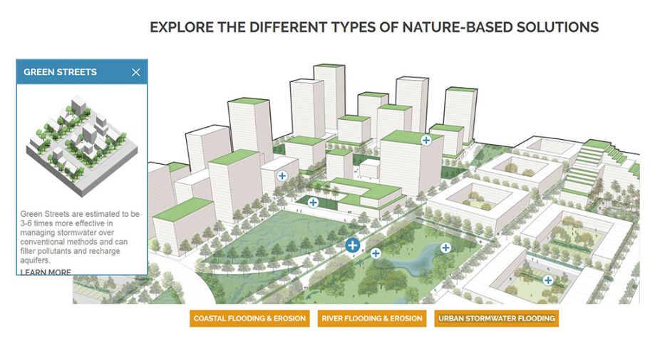 Screen Shot 2017-06-04 at 12.55.21 PM.png