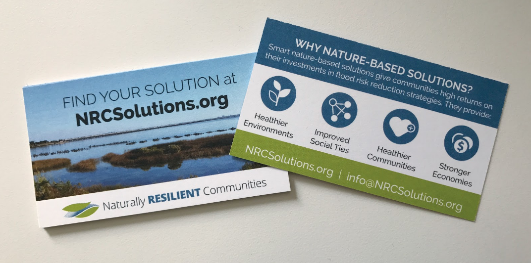 Screen Shot 2017-06-04 at 12.59.50 PM.png