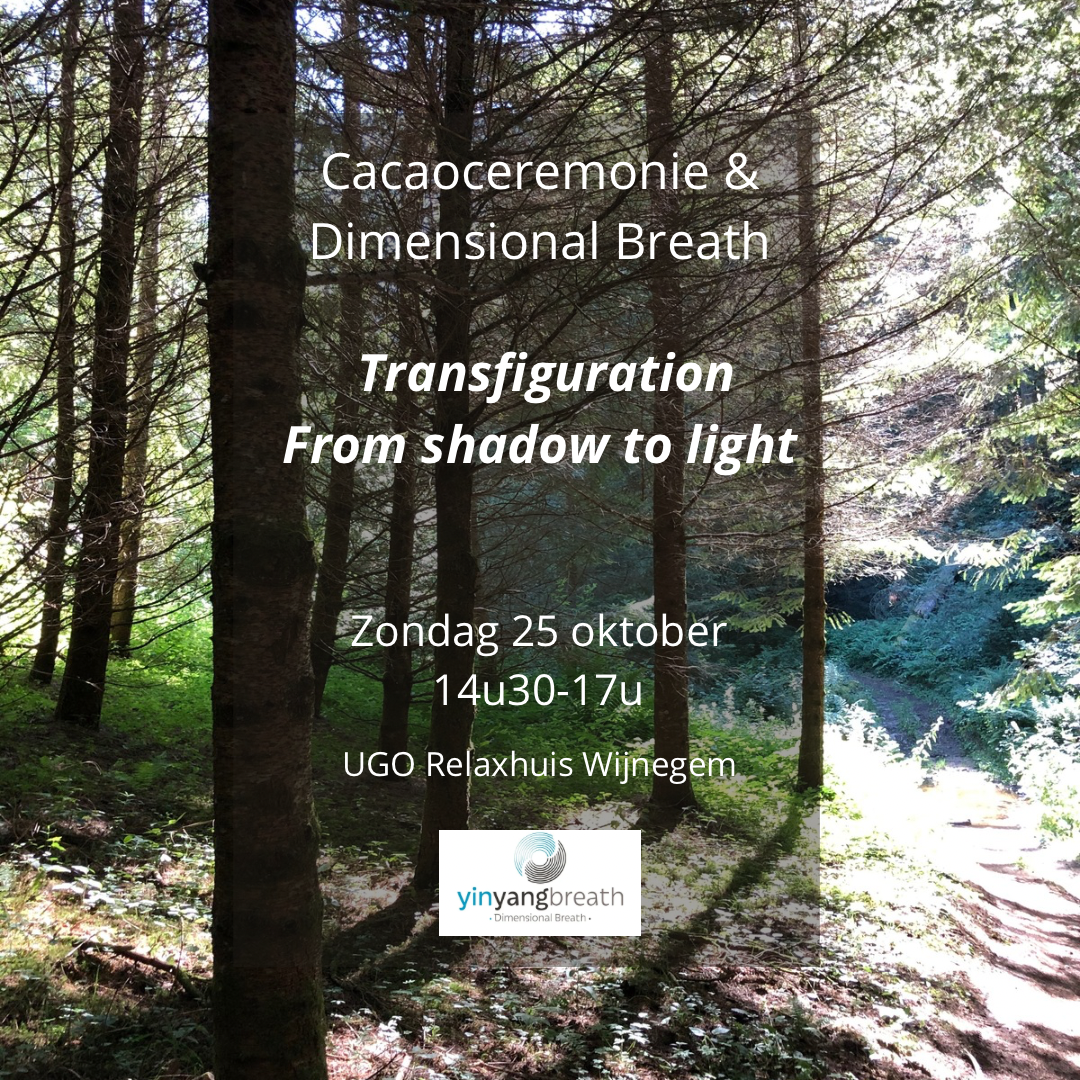 Cacao ceremonie en Dimensional Breath: Transfiguration from shadow to light