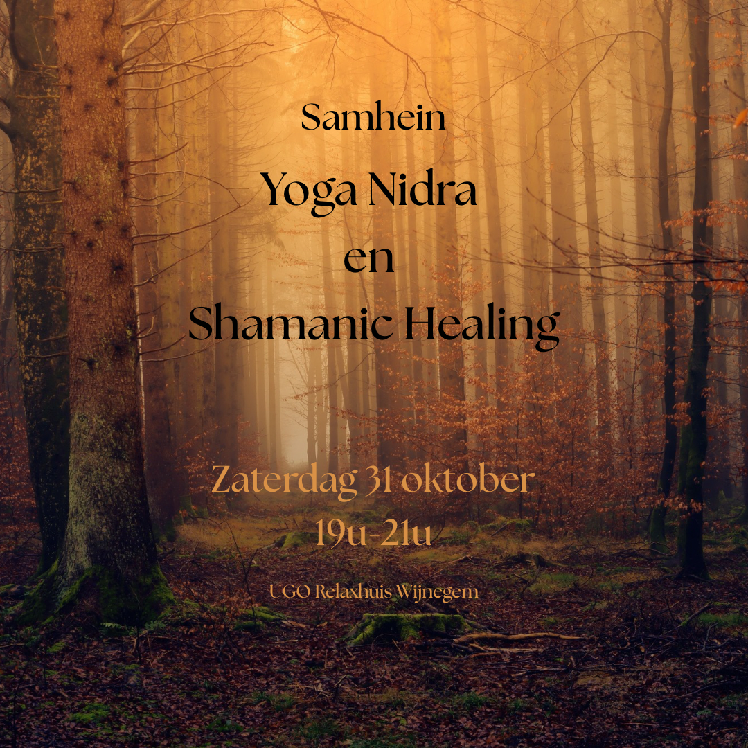 Yoga Nidra en Shamanic Healing