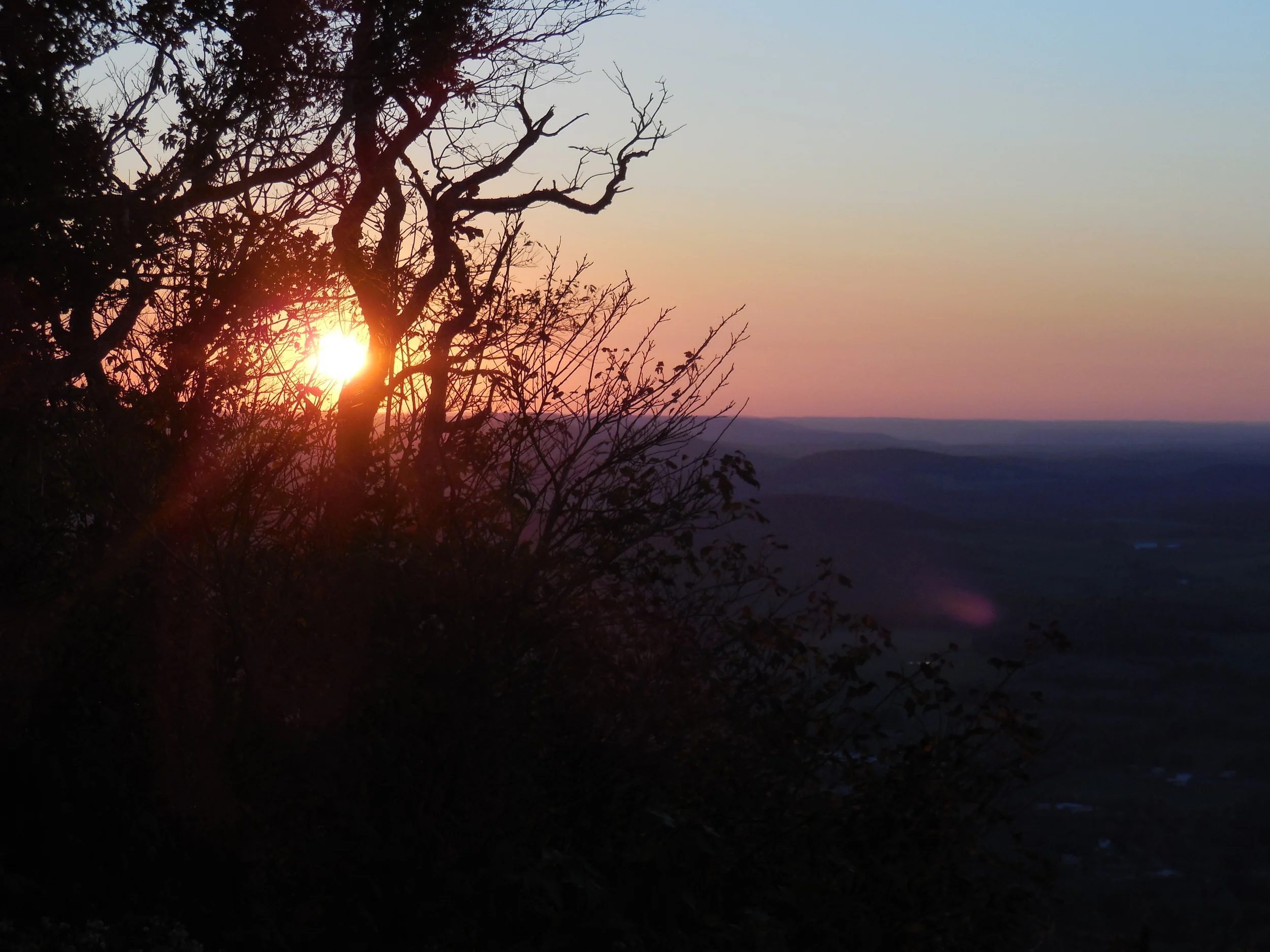 Mt.Utsayantha Light thru Bush.JPG