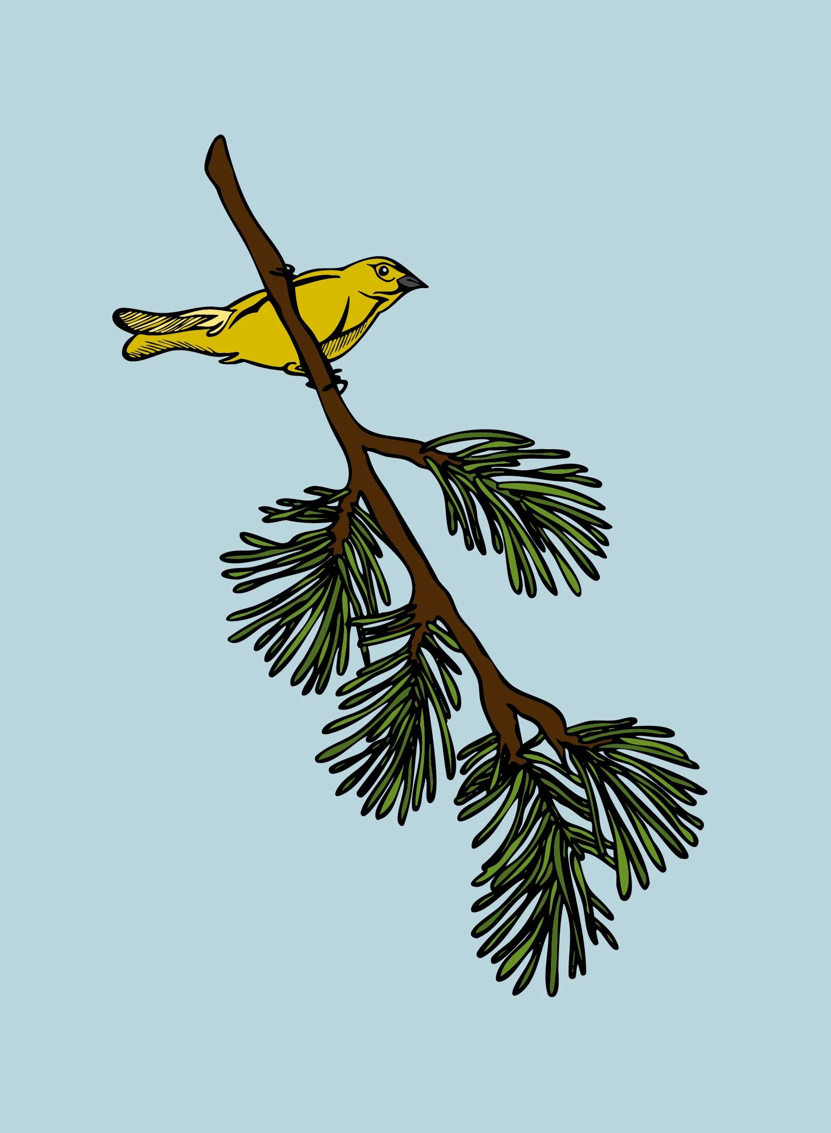pine branch.jpg