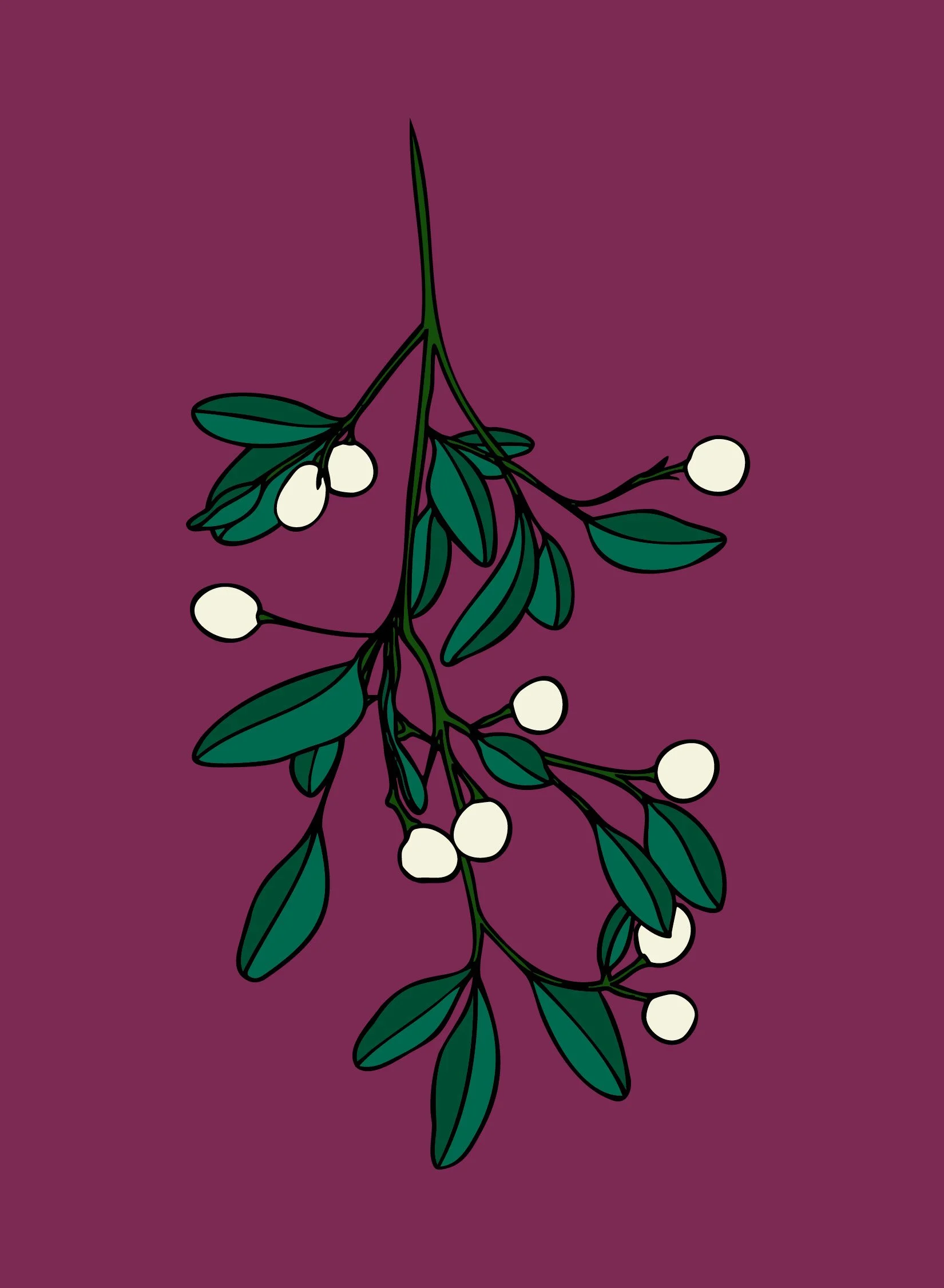 mistletoe.jpg