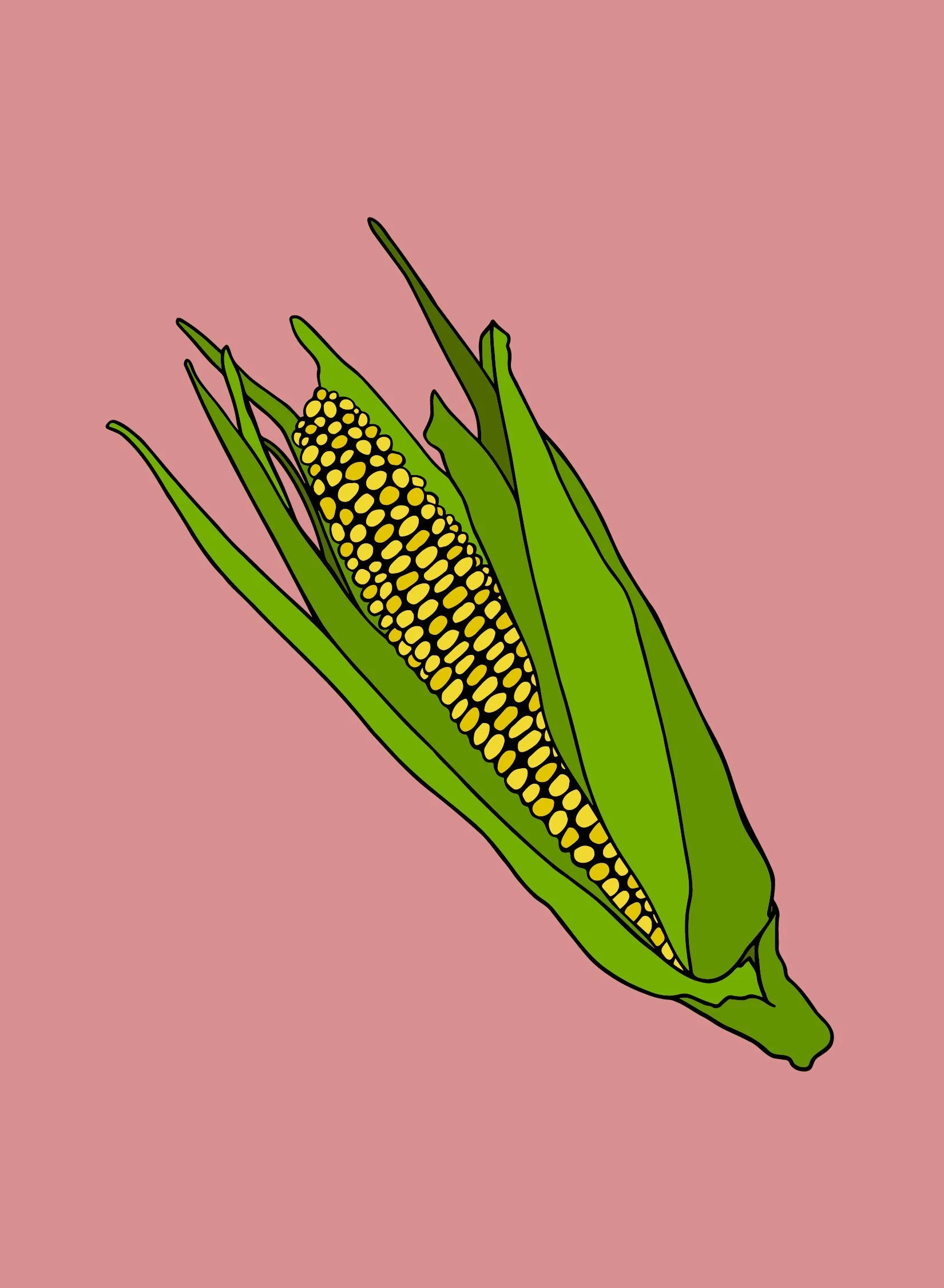 corn.jpg