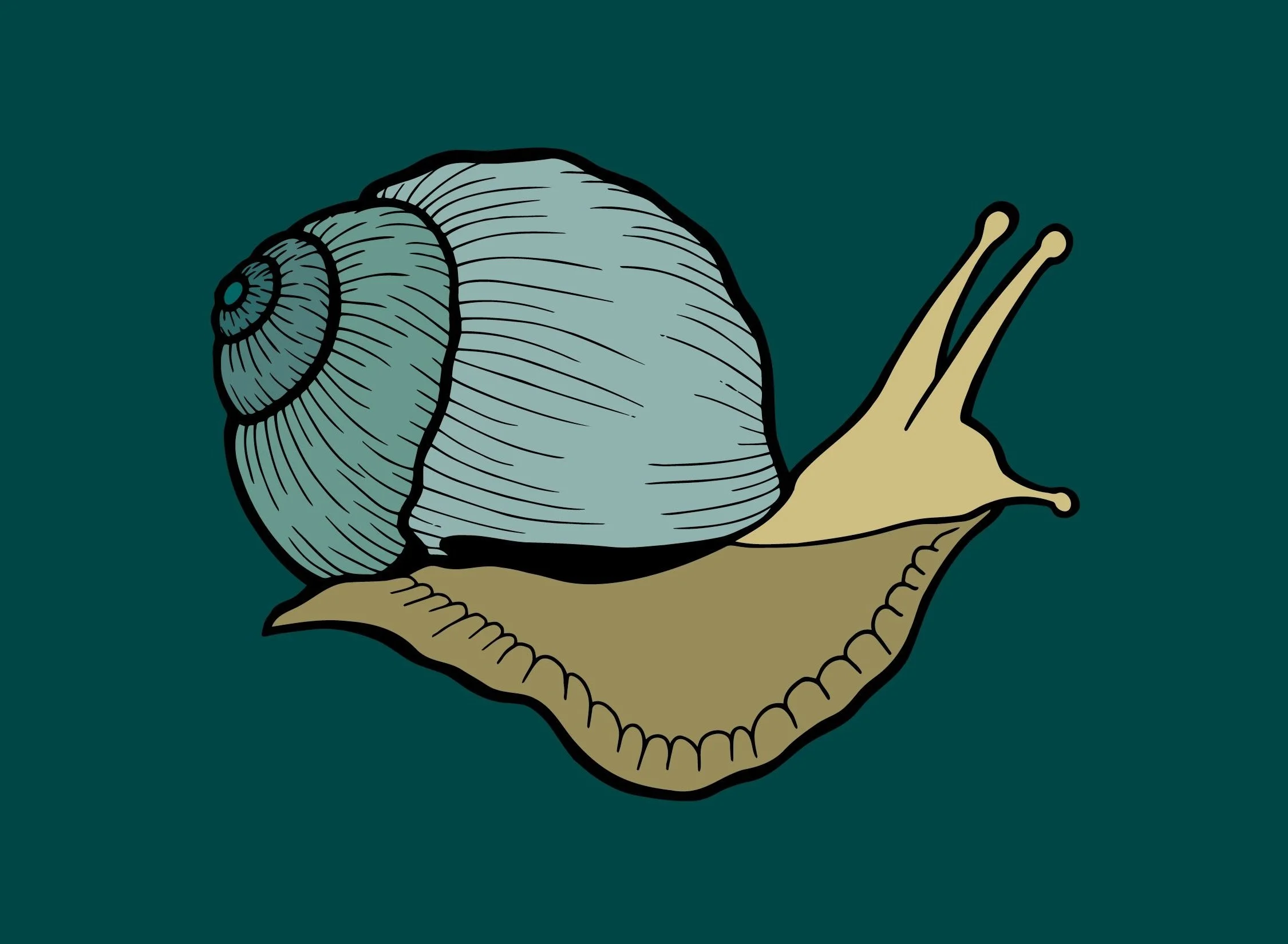 snail.jpg