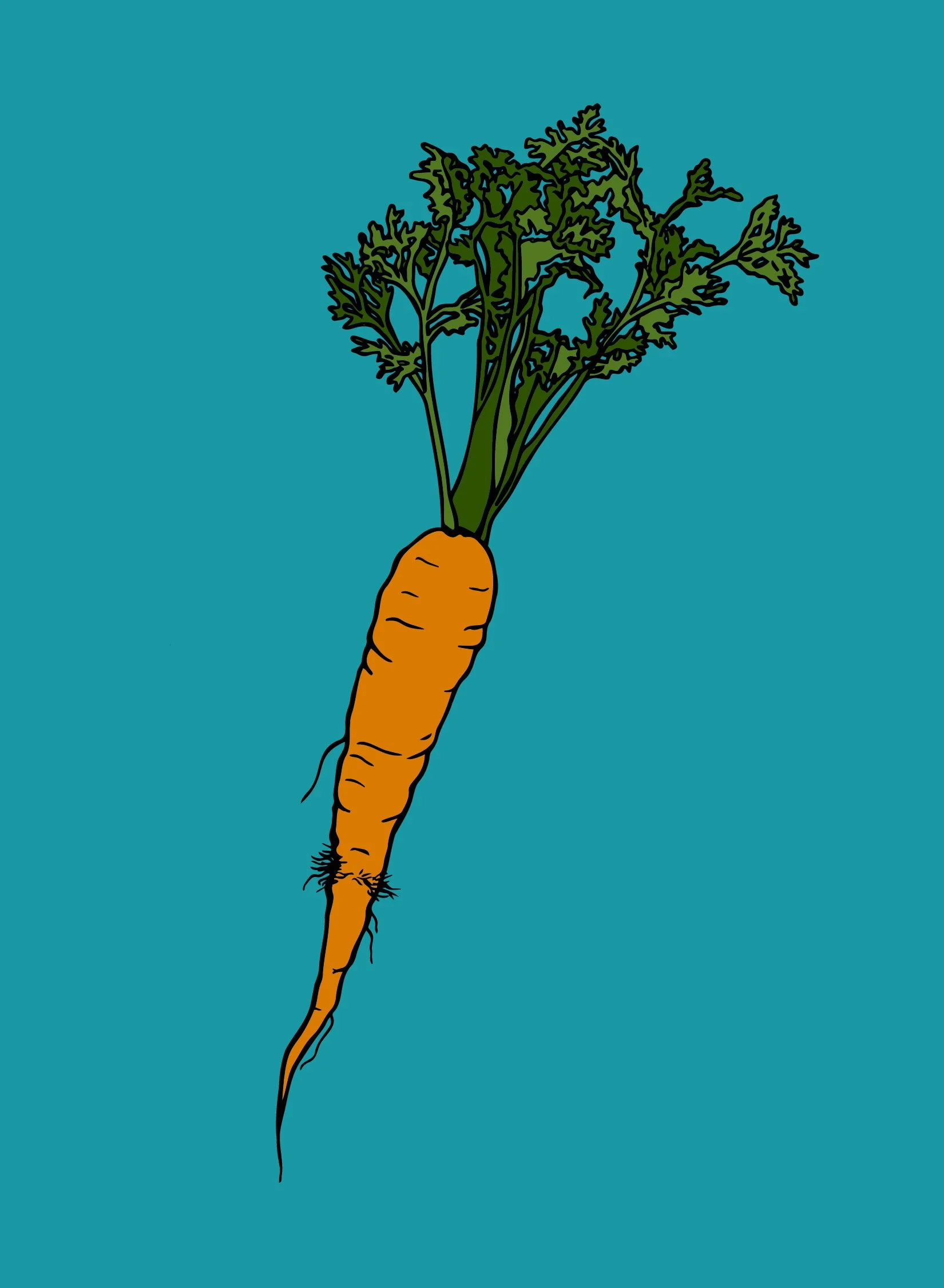 carrot.jpg