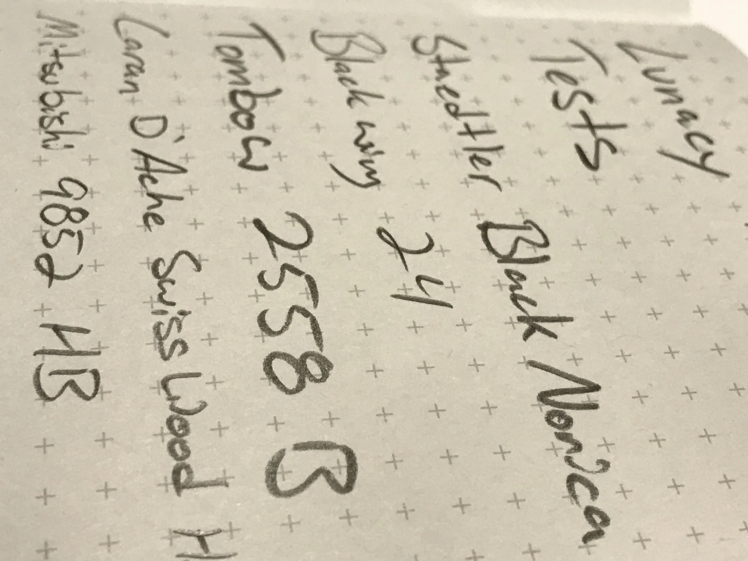 I carry and use dark pencils almost exclusively so I tried a few of my favorites.