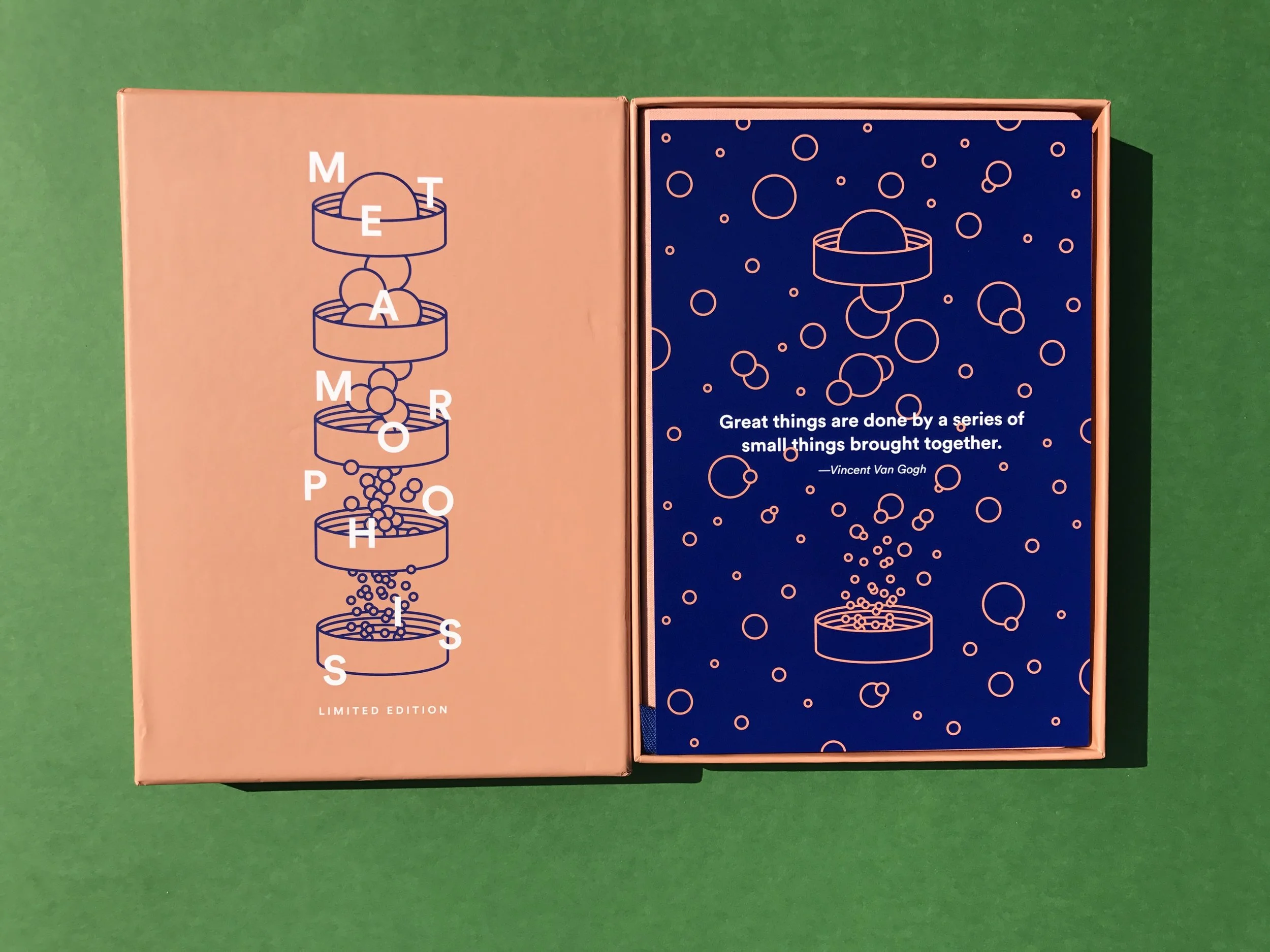 Box and insert.
