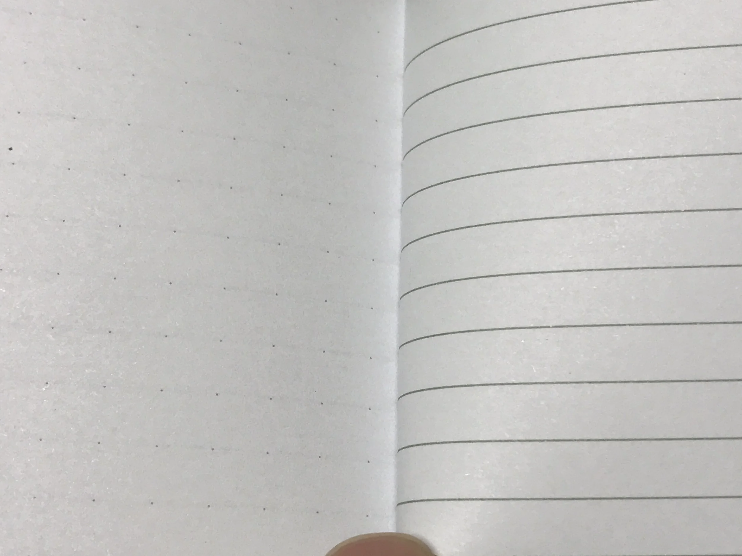 The picture shows the dots well...they're harder to see with the naked eye.