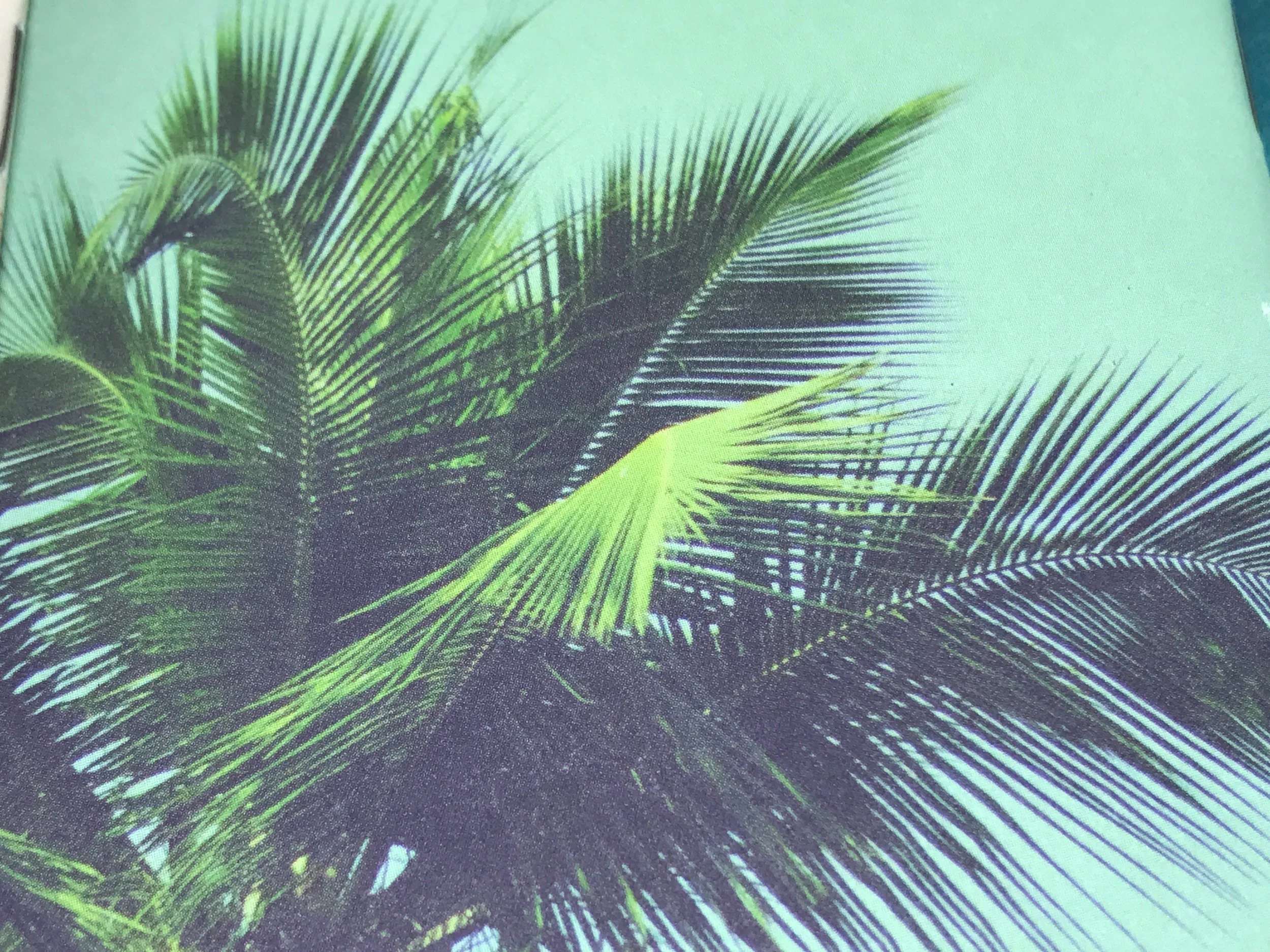 word-notebooks-beach-vibes-8.jpg