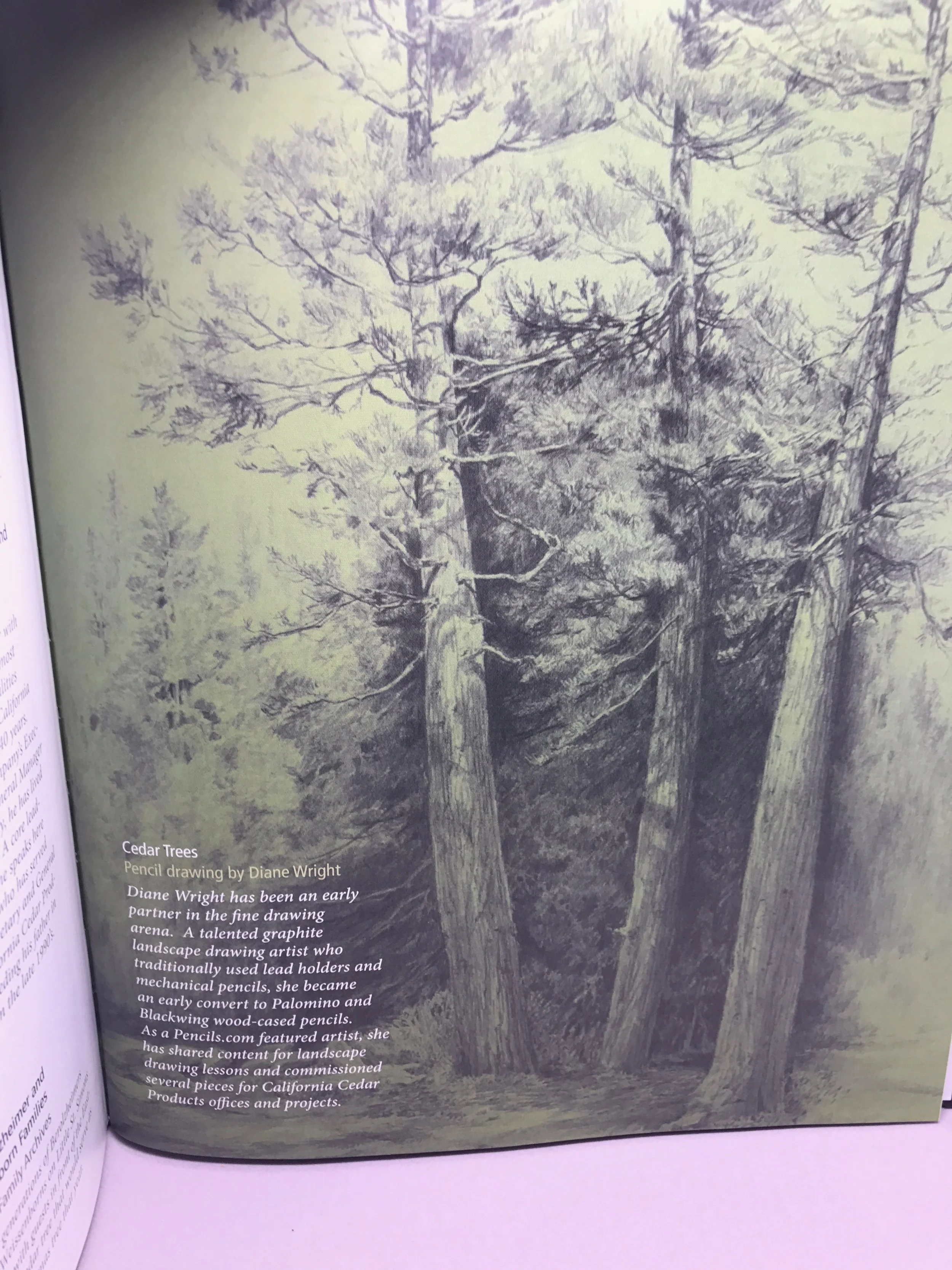 story-of-cal-cedar-book-12.jpg