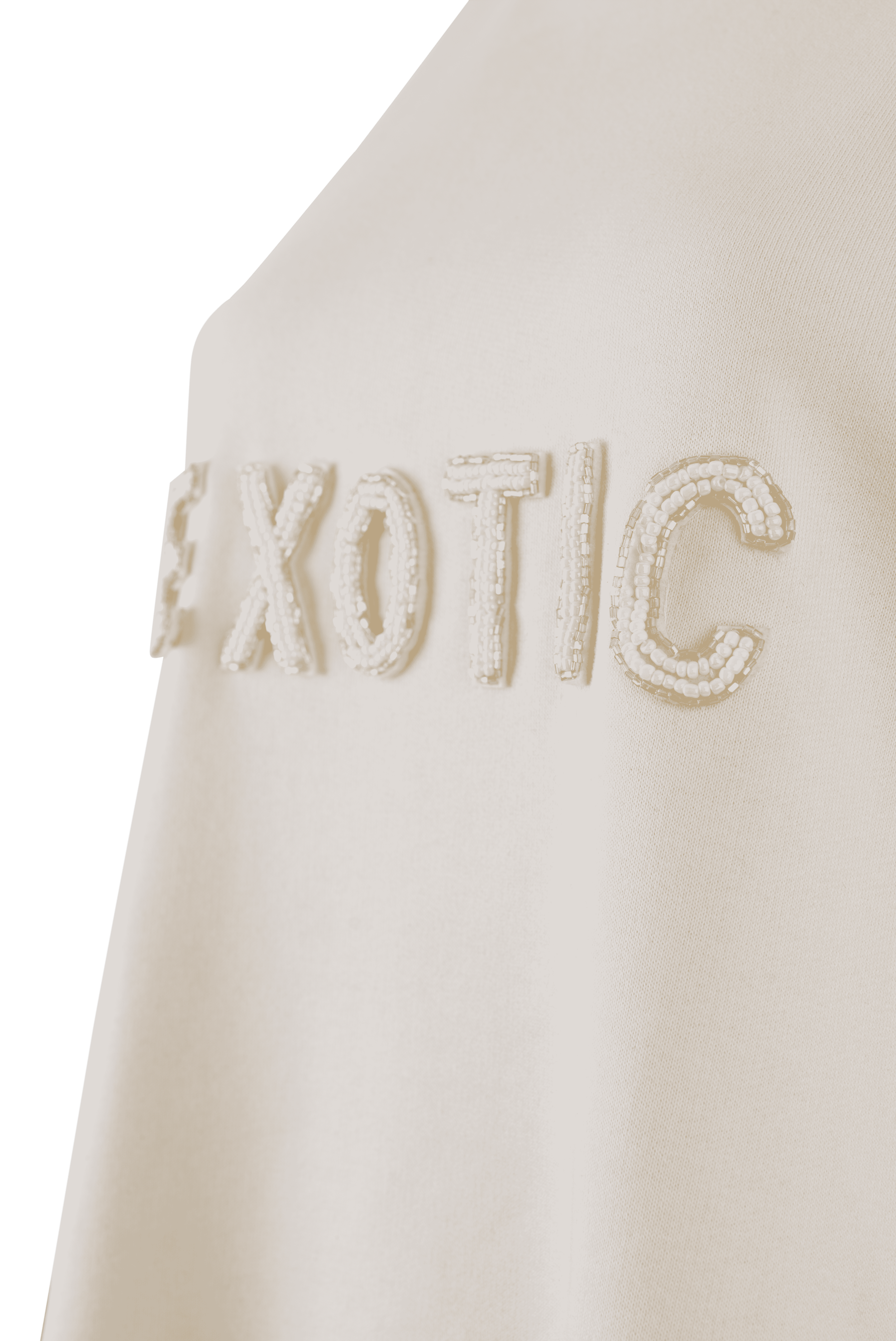 Sweater-Exotic-3_optimized.png
