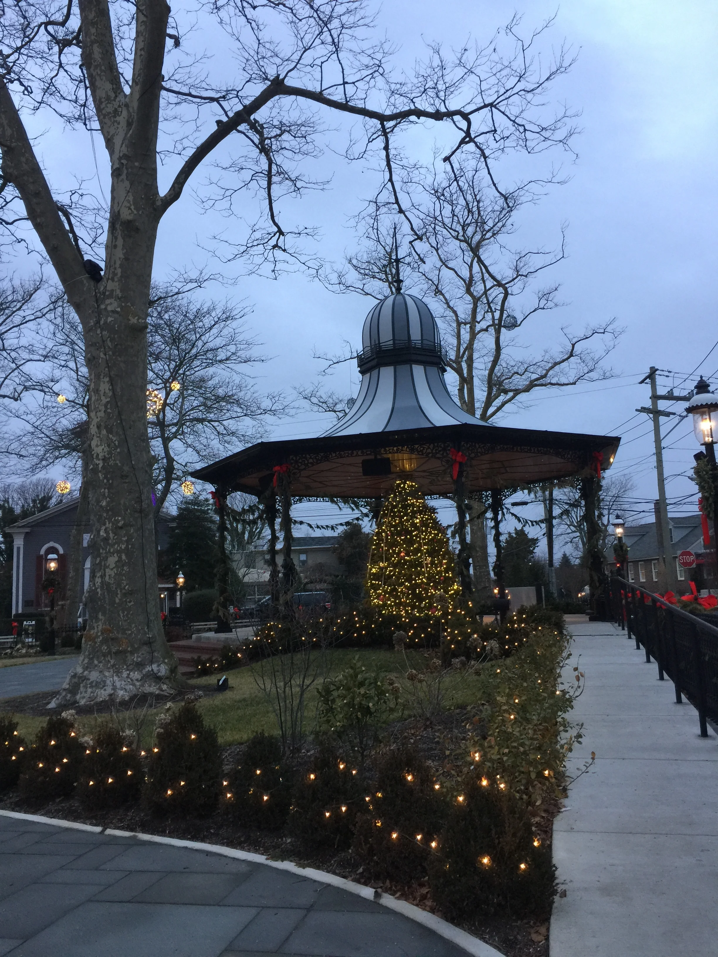 Rotary Park
