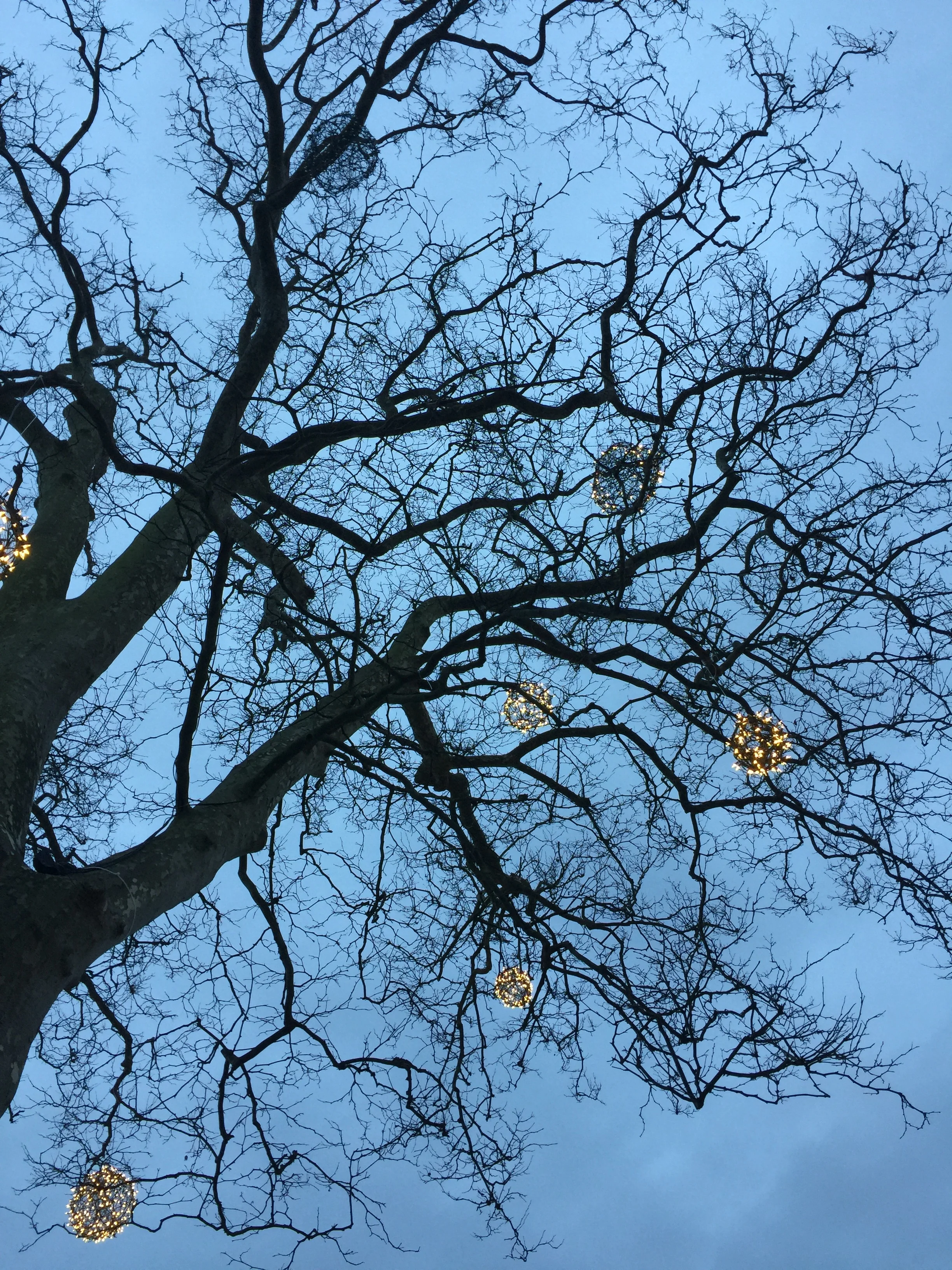 Holiday lights