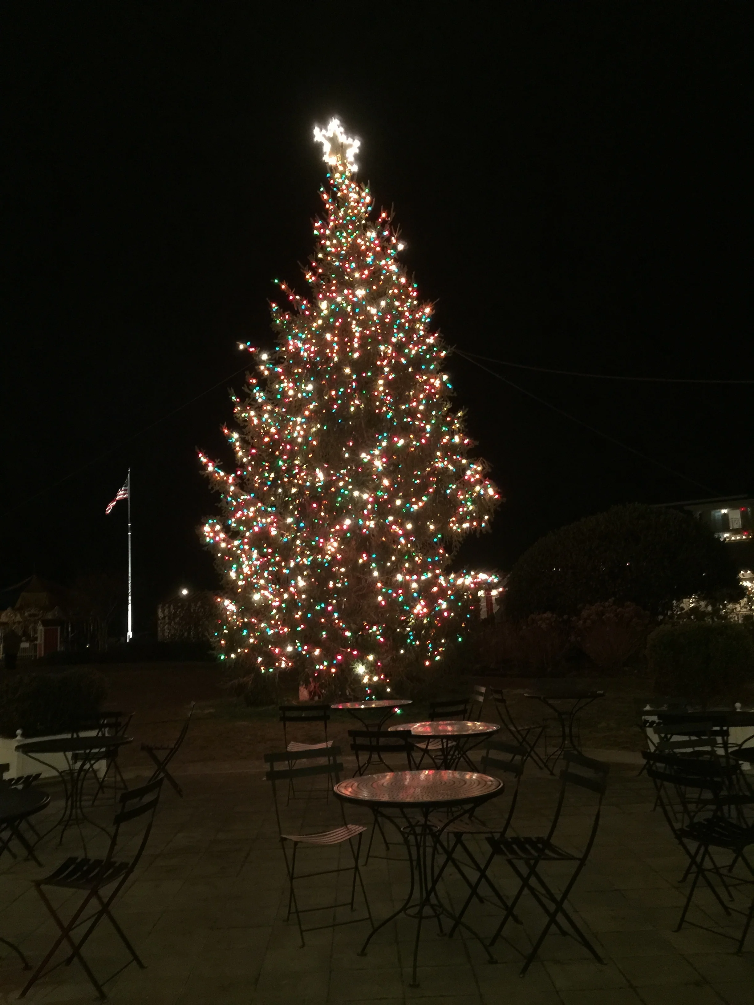 Congress Hall Christmas Tree