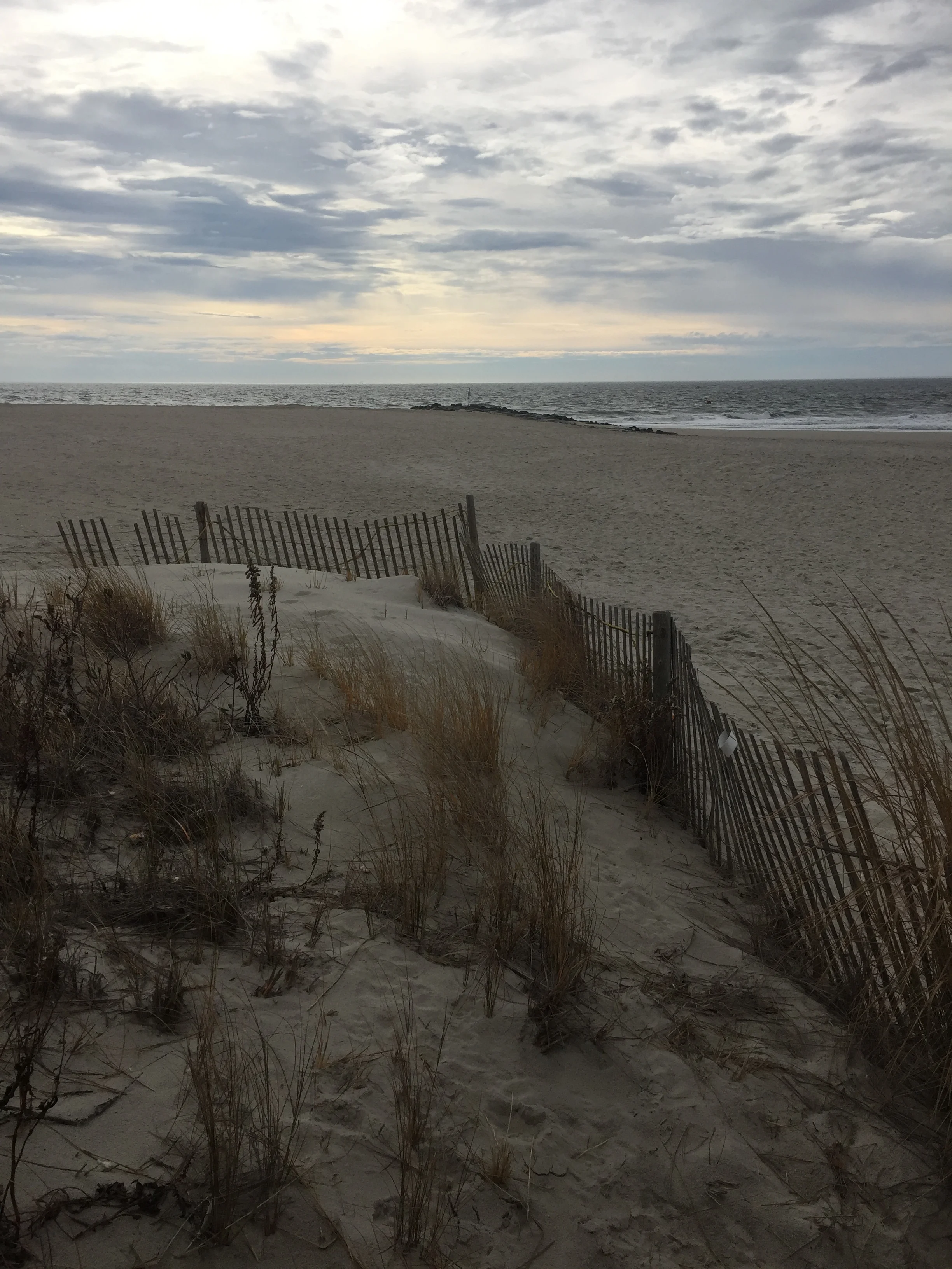 The Beach