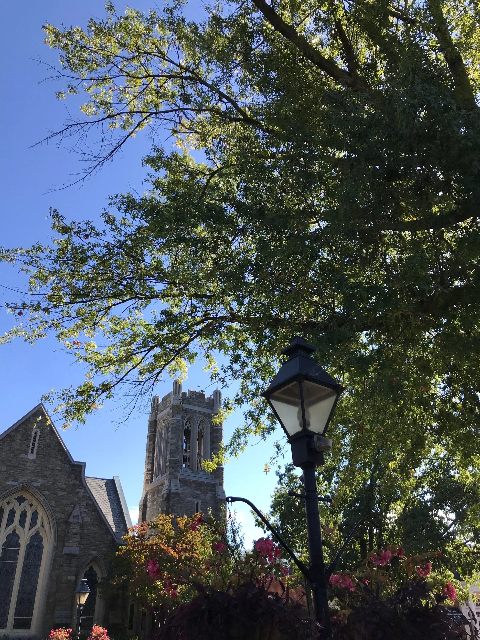 A little light perspective goes a long way π