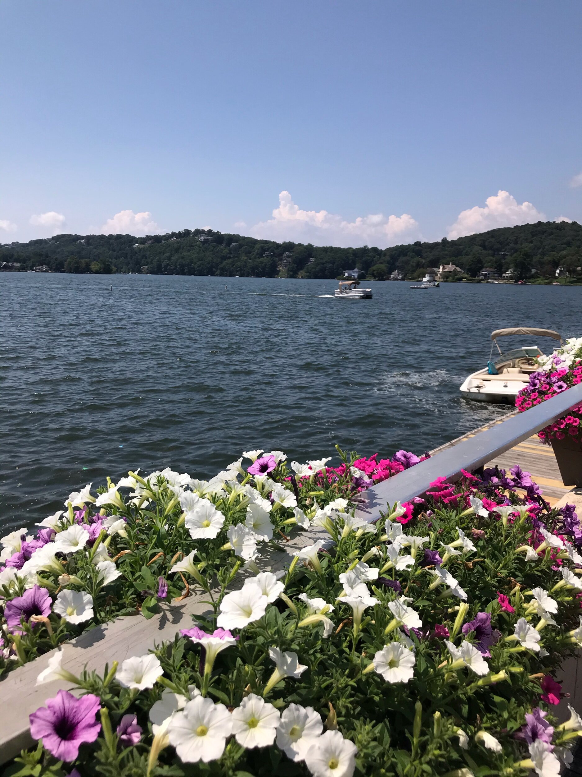 Flower blooms and lake views