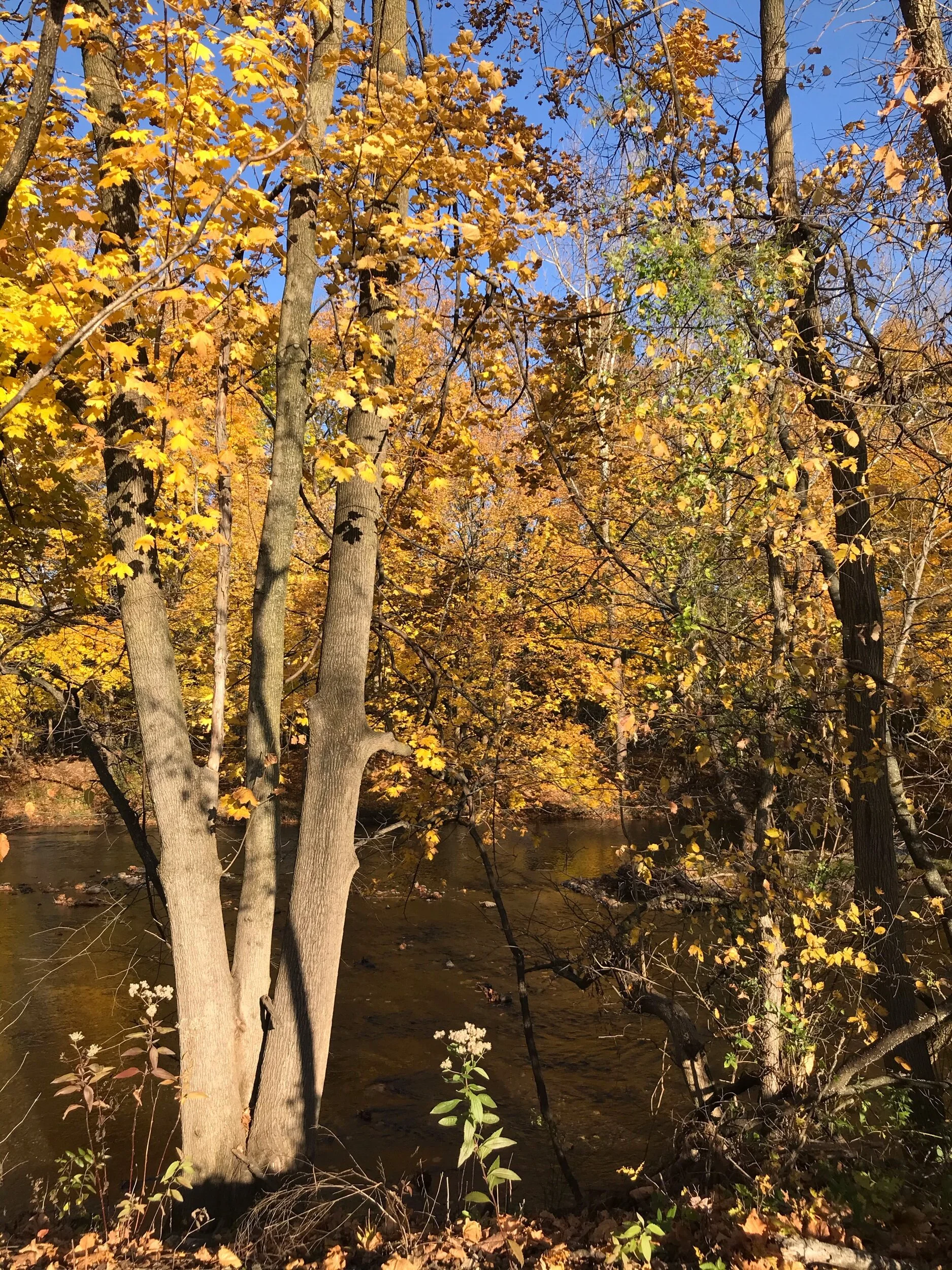 Autumn colors abound